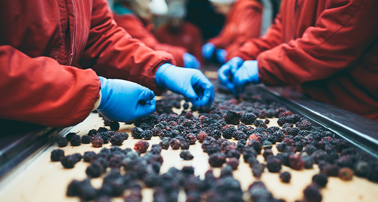 4 Tips to Chill the Hottest Challenges in Refrigerated & Frozen Foods